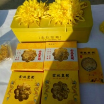 菊花茶一级