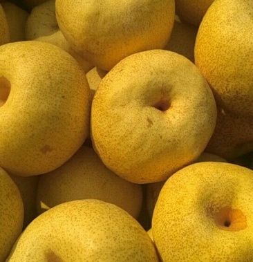 砀山梨 筐装 450~500g