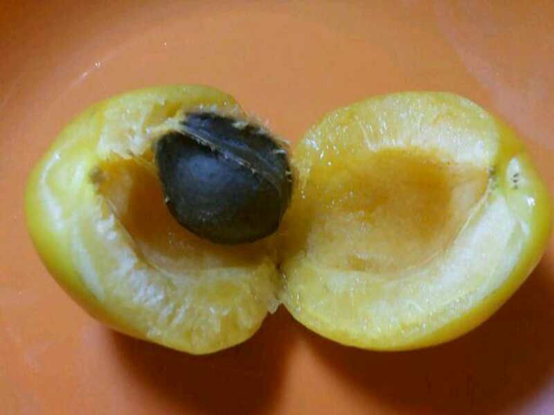 杏的不同食用方式