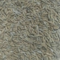 稻糠饲料