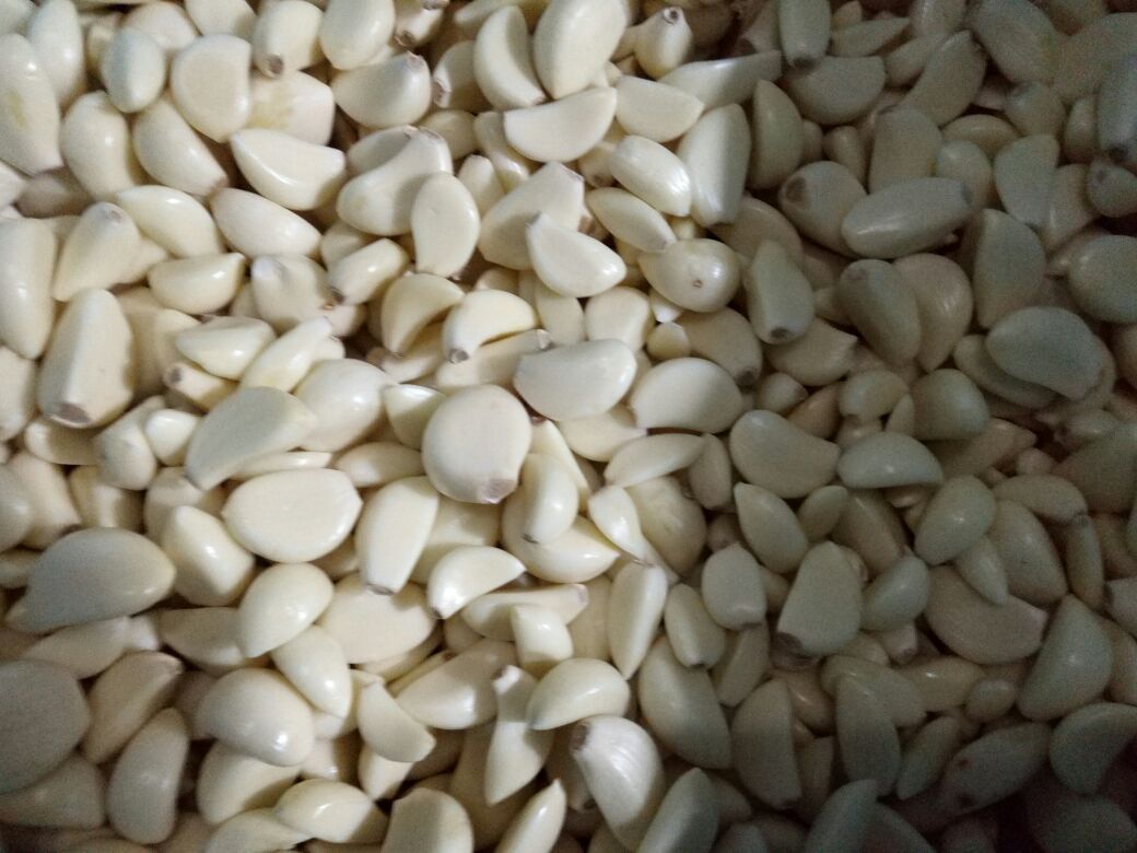 新鲜平菇与菜花摆放在砧板上，旁边放着大蒜和小米辣，背景为厨房台面