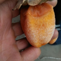 柿饼1~2两