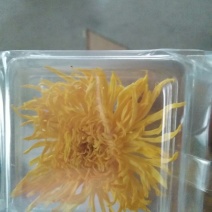 药用菊花散装