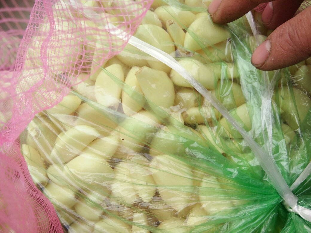 对比图：左为普通白米饭，右为加入蒜米的米饭