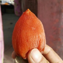 柿饼1~2两