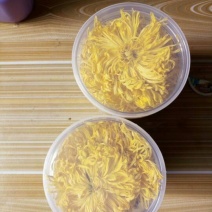 干菊花金丝皇菊