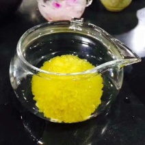干菊花乒乓球菊