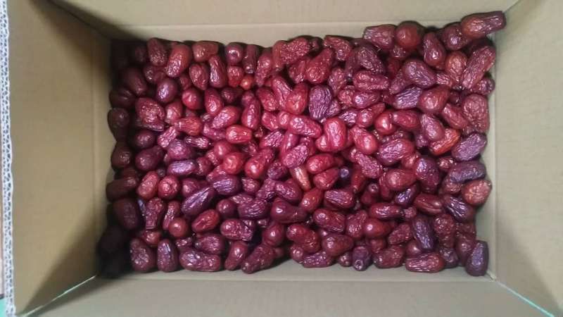 透明保鲜盒内整齐摆放的骏枣,旁边配有厨房纸巾和密封袋,背景为冰箱冷藏室内景,体现科学储存场景 骏枣冷藏储存示意图