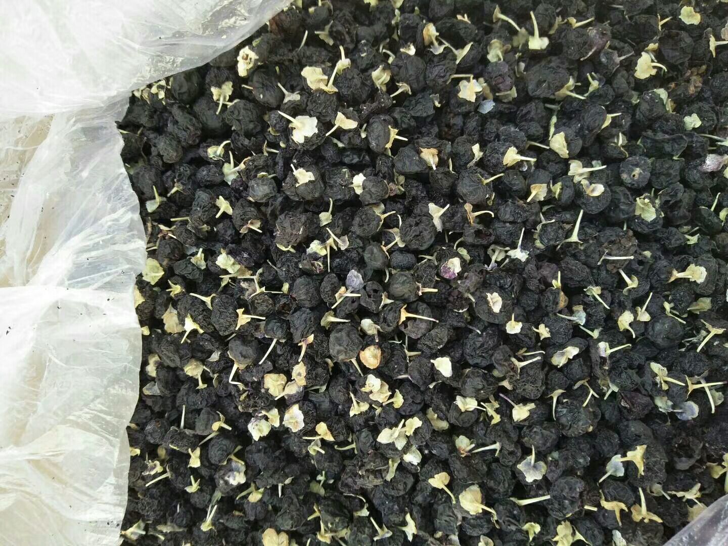 黑枸杞植株全貌与花果对比图