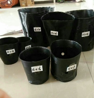 [育苗袋批发]育苗袋营养钵育苗盆种植穴盘塑料营养袋育苗袋一次性花盆