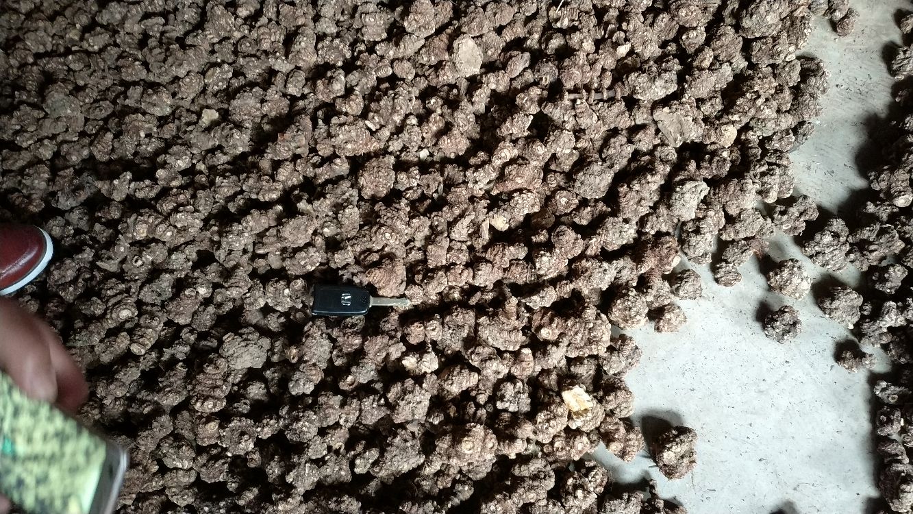 陈腊川芎片显微结构与蜂蜜晶体对比图