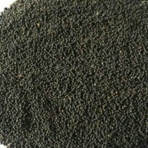 油菜籽1级