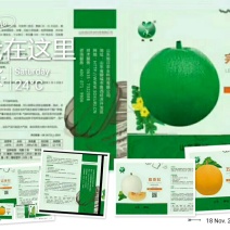 甜瓜种子