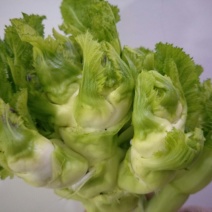 儿菜5两以上