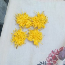 金丝皇菊茶特级