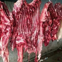 驴肉带皮驴肉鲜驴肉批发