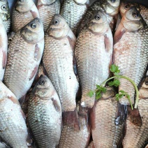 河鲤鱼2两食用
