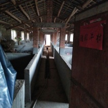 家庭农场转让，