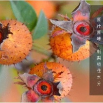 刺梨干