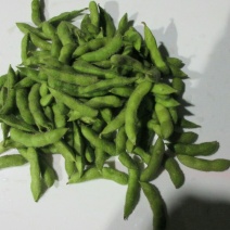 毛豆种子
