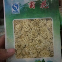 菊花茶黄山一级菊花茶40g
