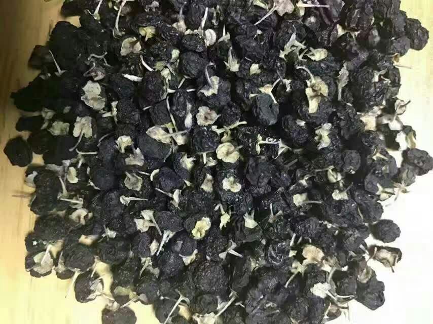 黑灵芝与枸杞对比图