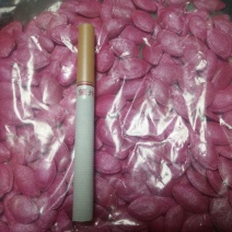 葫芦种子