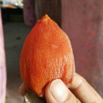 柿饼1~2两