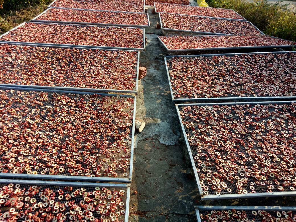 焦山楂炮制过程图