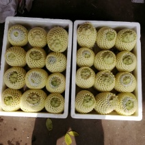 释迦特级450~550g
