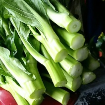 菜苔30~40cm