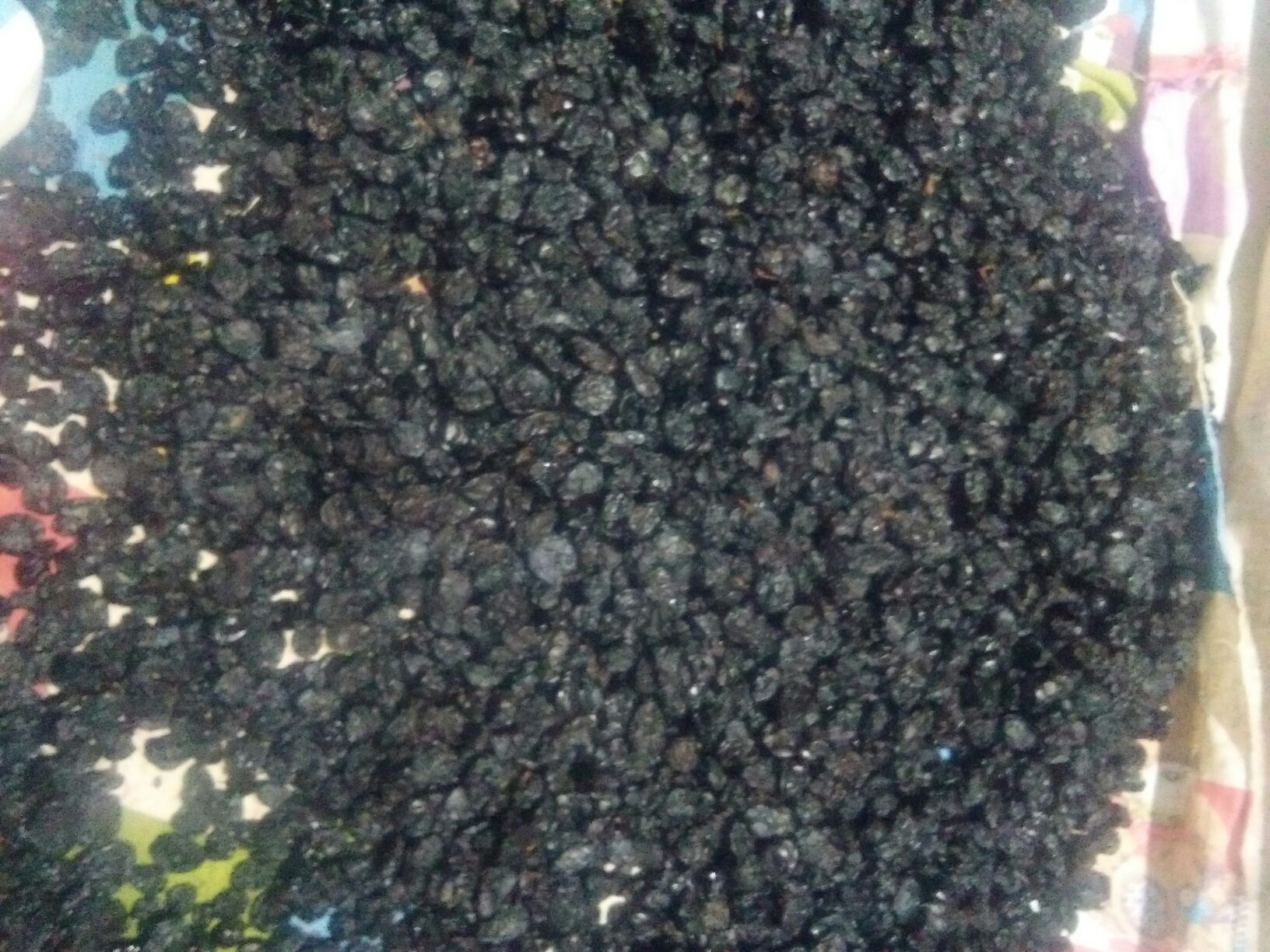 清洗干净的夏黑葡萄摆放在盘中