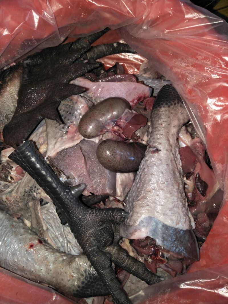 德化黑鸡(散养土鸡)