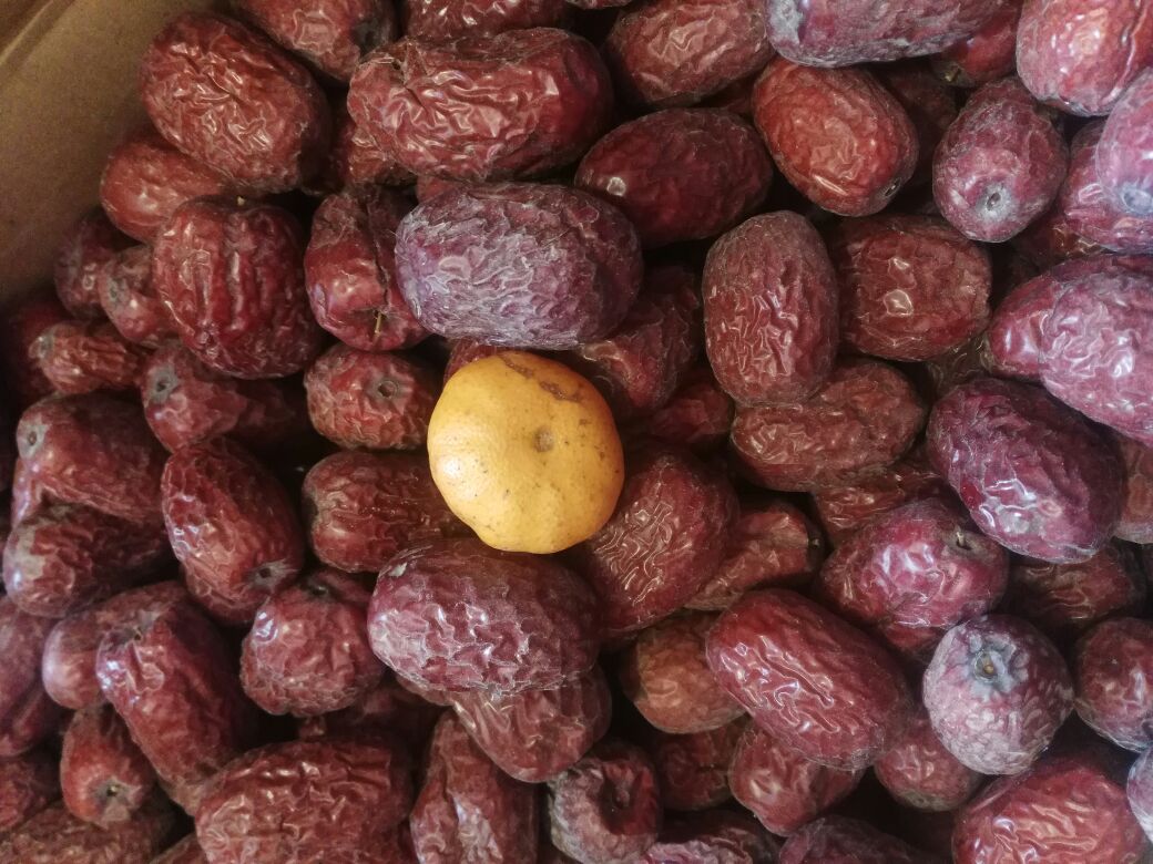 高清微距拍摄:12枚标准规格若羌灰枣圈并列摆放于亚麻布上,单枚直径2.8±0.2cm,厚度0.95cm,呈半透明琥珀色,表面可见细微糖霜结晶与自然褶皱纹理;背景虚化呈现若羌县阿尔金山北麓典型荒漠绿洲地貌与滴灌枣林 若羌灰枣圈特写:整齐排列的琥珀色环形烤枣,表面油润有光泽,边缘微卷,切口平滑无裂纹,背景为戈壁滩与枣园远景