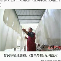 红薯粉丝散装