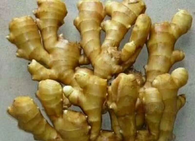 老姜切面特写与使用场景组合图