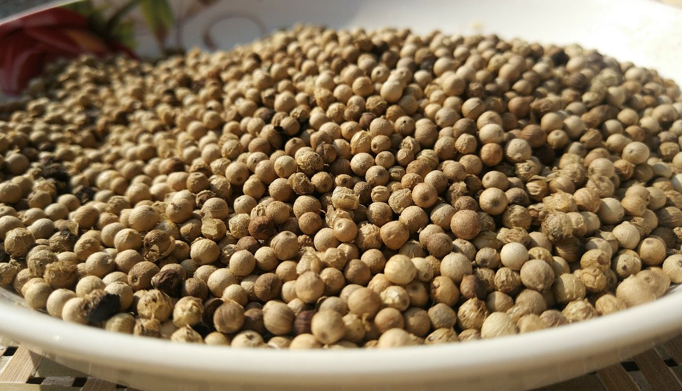 砂拉越白胡椒成品展示