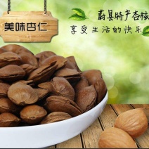 杏核甜核