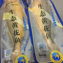 黄花鱼食用