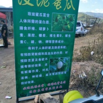 网纹瓜玫珑蜜瓜