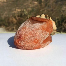 柿饼1两以下