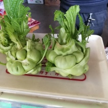 儿菜4两以上
