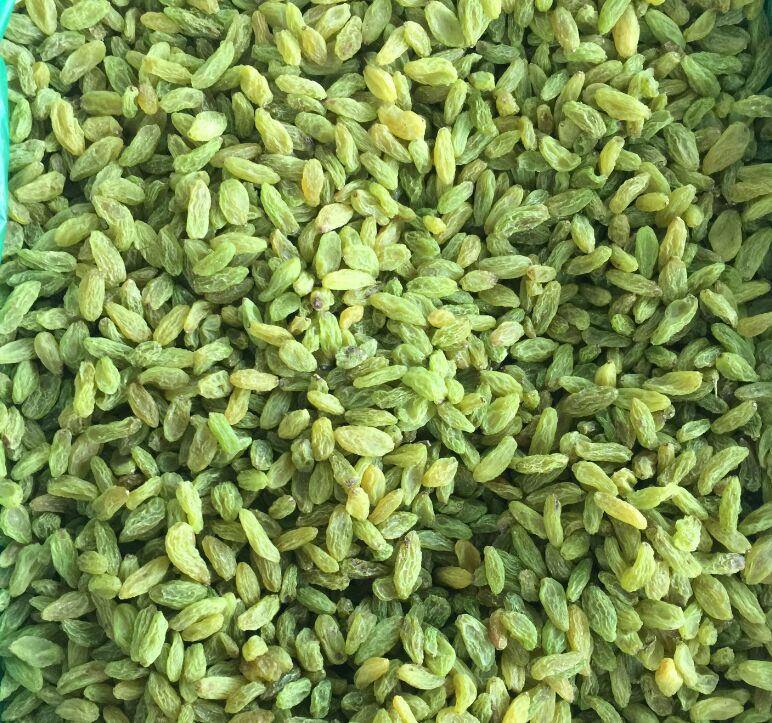 绿心猕猴桃干特写