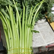 蒿子杆25~30cm