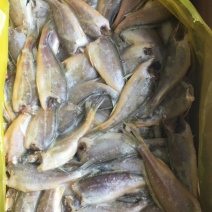 小黄鱼食用
