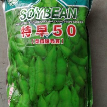 毛豆种子