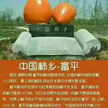 柿饼2~2.5两