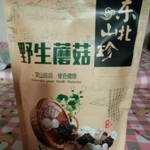 松蘑草蘑