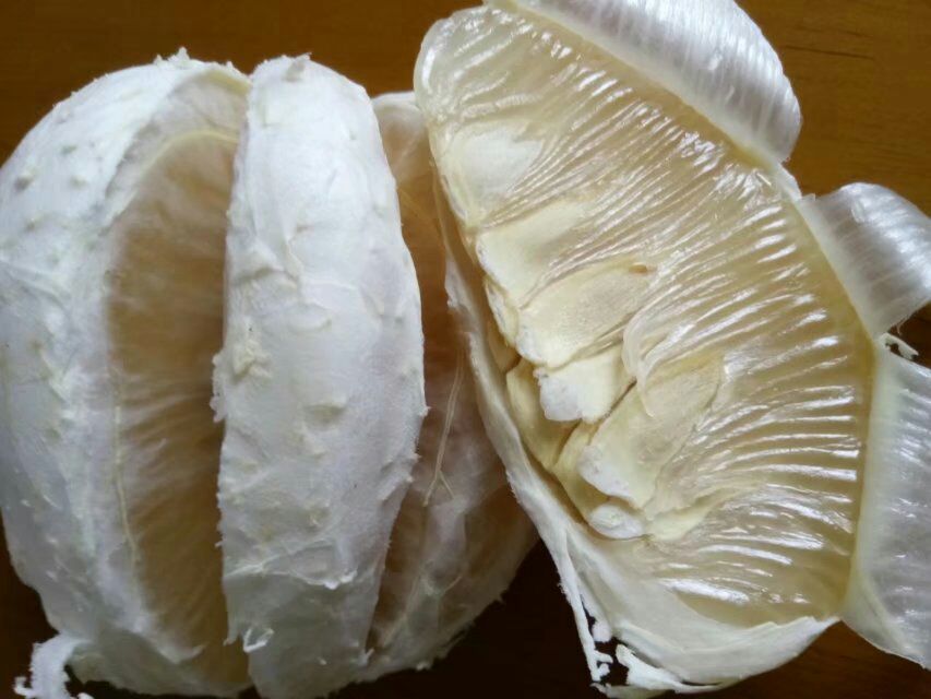 沙田柚果肉特写