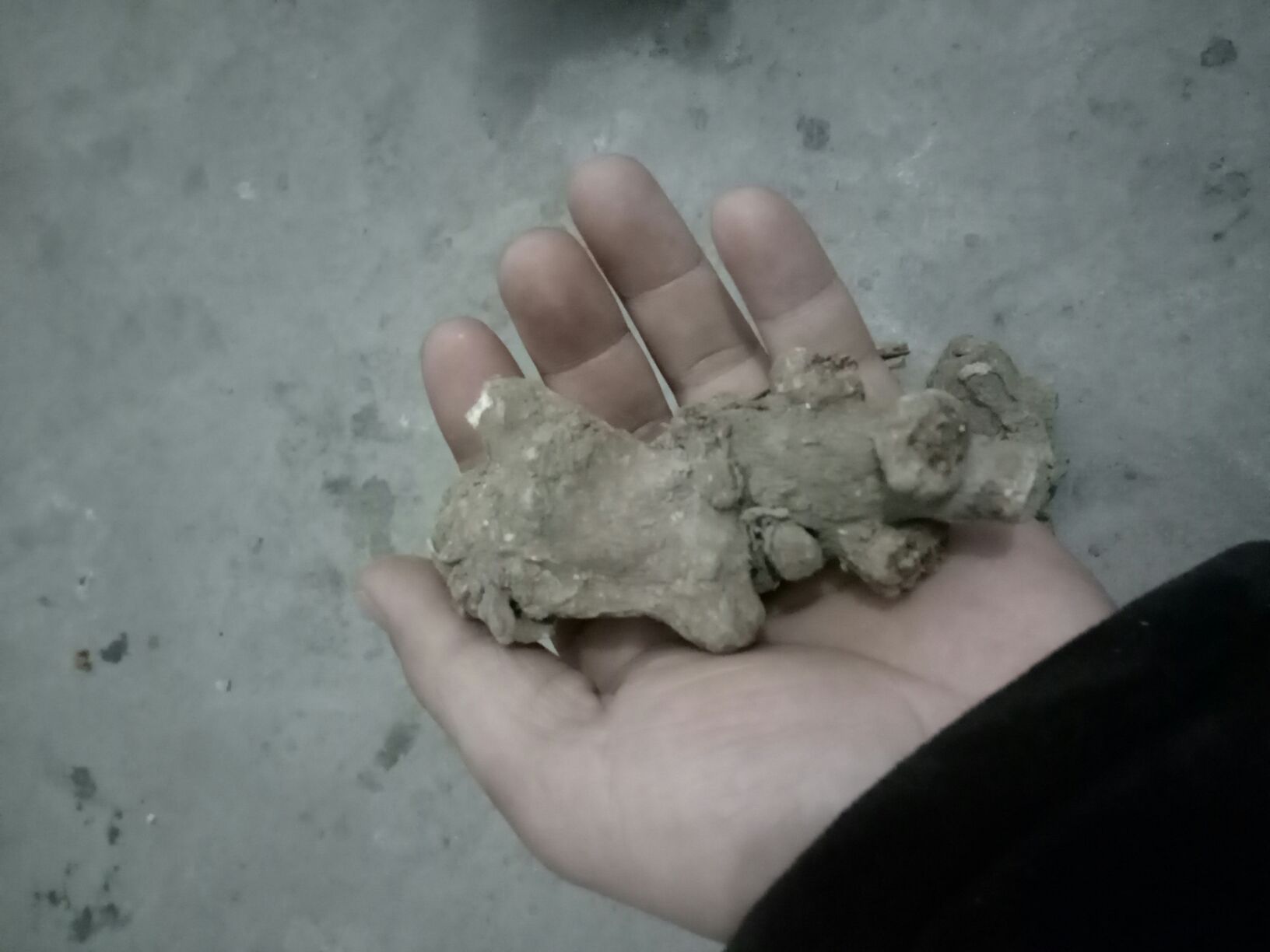 中医师问诊场景